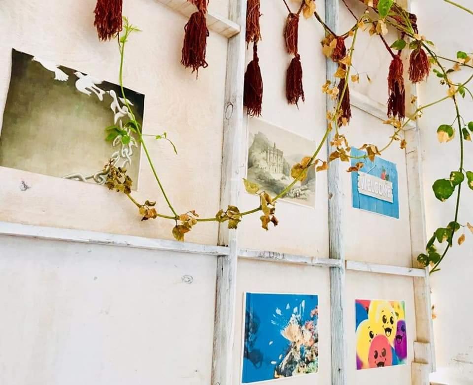 Nautilus Capsules Hostel Dahab Luaran gambar